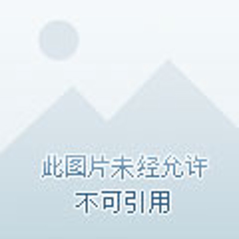 如何选购明星经纪服务:一份详实指南